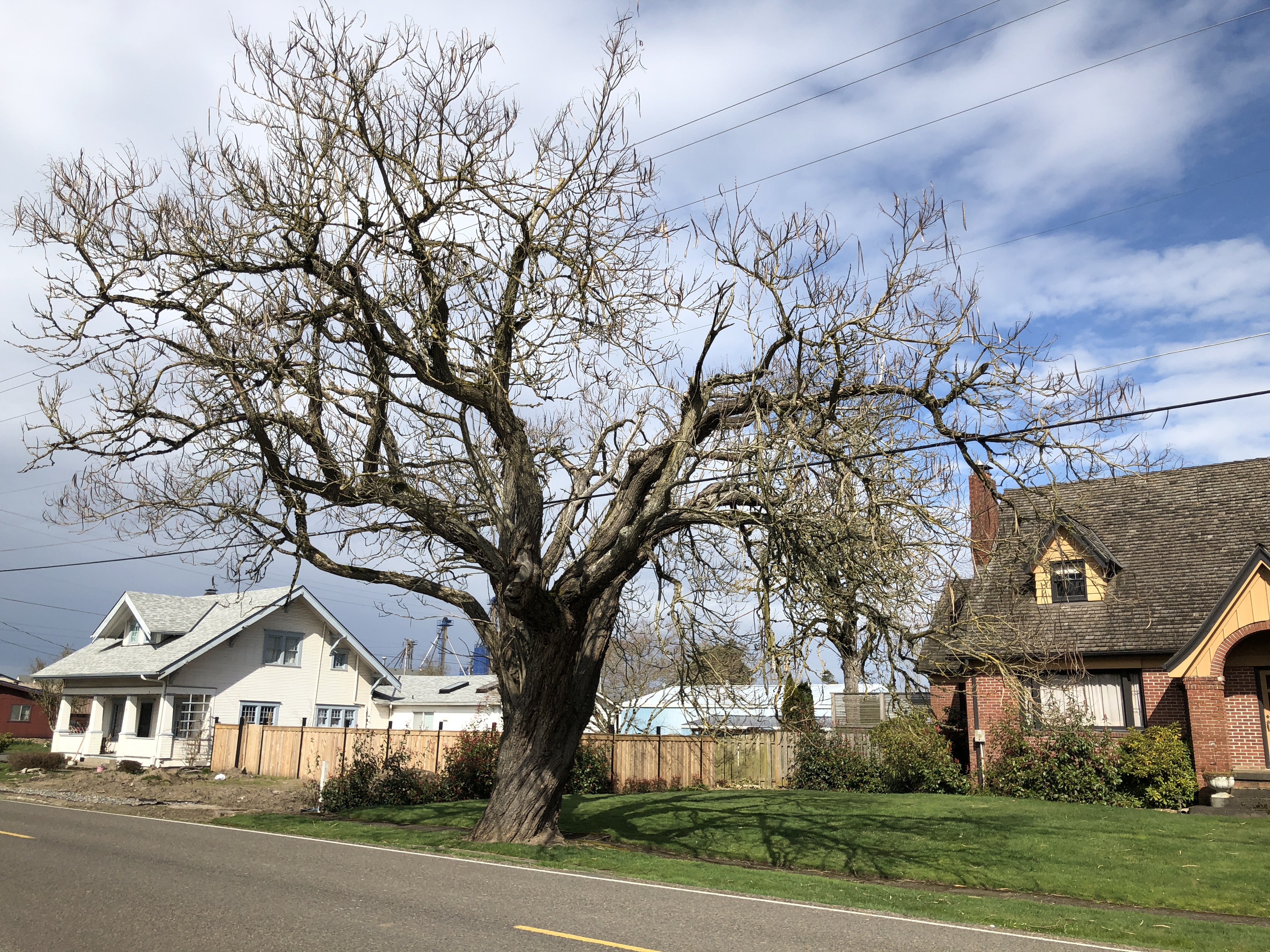 VanNatta Public Relations News via Flashalert.net